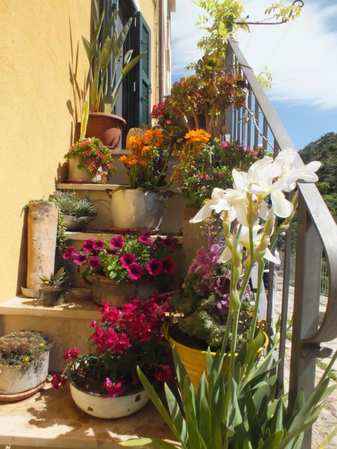 La Casa Di Sveva Ragusa Exterior foto